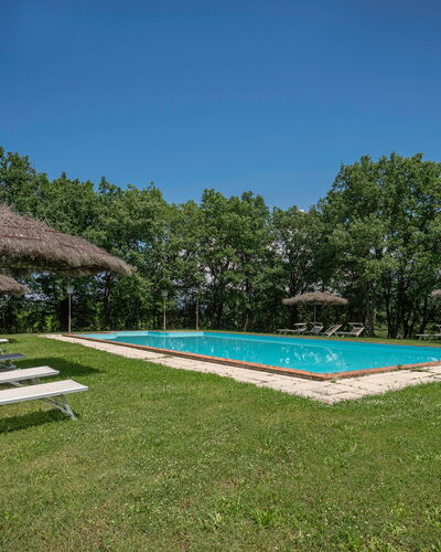 Belvedere - Falceto, Ambra, Toscana: Sky, Property, Plant, Water, Swimming Pool, Shade, Tree, House, Land Lot, Grass