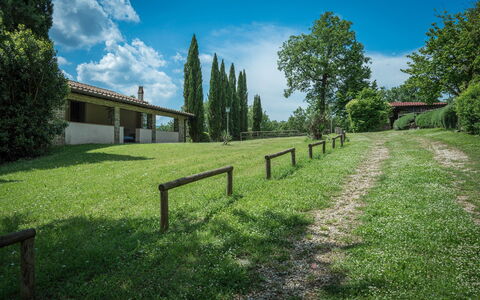 Borgo La Casina - Badia Agnano, Toscana: Cloud, Sky, Plant, Property, Natural Landscape, Tree, Land Lot, Sunlight, Fence, Landscape