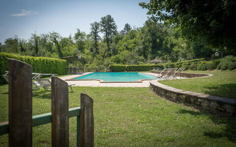 Fonte Nuova - Badia Agnano, Toscana: Water, Sky, Plant, Swimming Pool, Natural Landscape, Tree, Botany, Shade, Body Of Water, Cloud