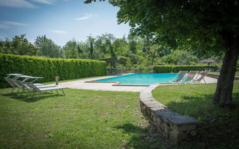 Fonte Nuova - Badia Agnano, Toscana: Water, Plant, Sky, Swimming Pool, Azure, Tree, Shade, Cloud, Outdoor Furniture, Grass