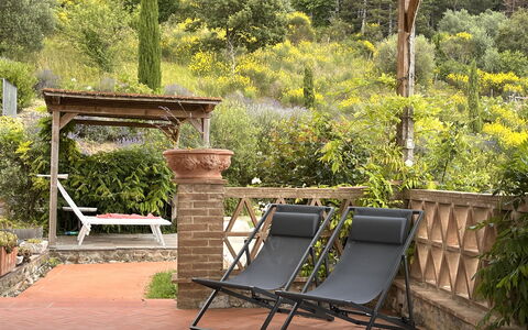 Villa Monticello: Plant, Furniture, Plant Community, Outdoor Bench, Outdoor Furniture, Natural Landscape, Wood, Grass, Shade, Tree