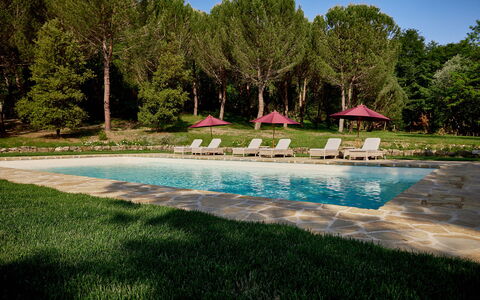 Villa Dell'abate: Water, Plant, Property, Sky, Natural Landscape, Swimming Pool, Tree, Leisure, Grass, Landscape