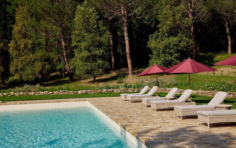 Villa Dell'abate: Water, Plant, Property, Swimming Pool, Tree, Natural Landscape, Shade, Outdoor Furniture, Leisure, Grass
