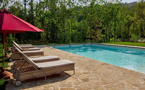 Villa Dell'abate: Water, Plant, Swimming Pool, Tree, Wood, Shade, Rectangle, Sky, Leisure, Outdoor Furniture