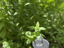 La Casa Dei Glicini - Levanto