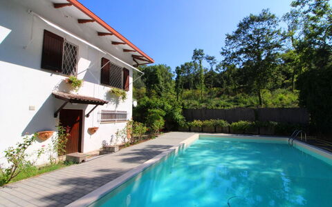 Pupa House: Water, Plant, Sky, Building, Swimming Pool, Azure, Tree, Leisure, Shade, Residential Area