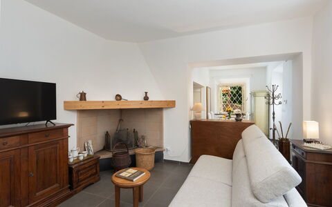 Casa Serra: Furniture, Property, Comfort, Plant, Wood, Houseplant, Lighting, Interior Design, Living Room, Cabinetry