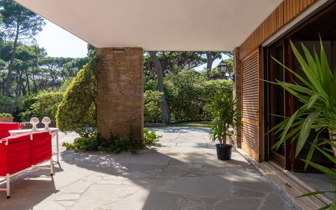 Villa La Pineta: Plant, Property, Shade, Table, Interior Design, Tree, Grass, Building, Floor, Wall