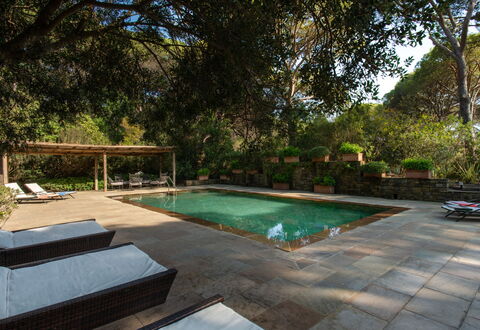 Villa La Pineta: Water, Plant, Property, Swimming Pool, Tree, Outdoor Furniture, Shade, Grass, Leisure, Real Estate