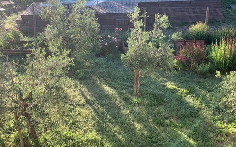 Lina - Podere Ribatti - Casole D'elsa, Toscana: Plant, Plant Community, Natural Landscape, Tree, Land Lot, Window, Grass, Vehicle, Grassland, Groundcover