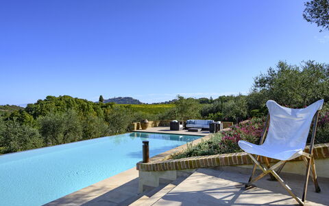 Villa Bartolomeo: Water, Sky, Furniture, Plant, Azure, Swimming Pool, Chair, Outdoor Furniture, Tree, Natural Landscape