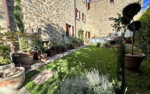 The Architects House: Plant, Property, Flowerpot, Building, Window, Lighting, Vegetation, Houseplant, Road Surface, Grass