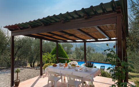 Casa Mimy: Sky, Plant, Property, Table, Shade, Botany, Architecture, Outdoor Furniture, Tree, Pergola