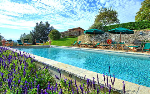 Villa Cona: Water, Cloud, Sky, Flower, Plant, Swimming Pool, Nature, Azure, Tree, Natural Landscape
