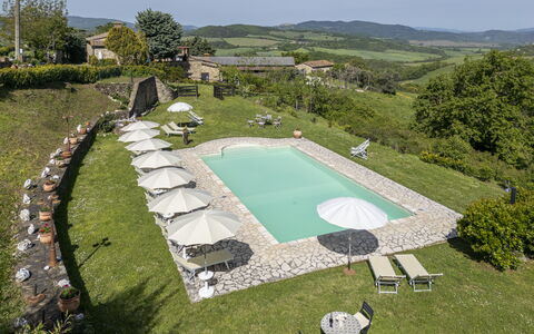 Podere Marcigliana - Radicondoli: Plant, Sky, Tree, Land Lot, Swimming Pool, Urban Design, Landscape, Leisure, Shade, Grass