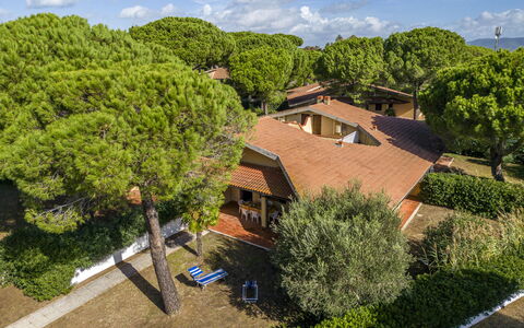 Argentario Giannella Apartment- Orbetello, Toscana: Cloud, Plant, Property, Building, Sky, Plant Community, Tree, Window, Vegetation, Architecture