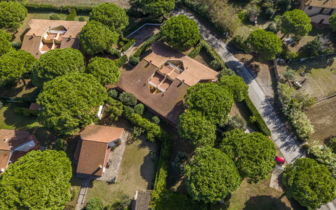 Argentario Giannella Apartment- Orbetello, Toscana: Plant, Property, Nature, Land Lot, Vegetation, Grass, Urban Design, Neighbourhood, Residential Area, Shrub