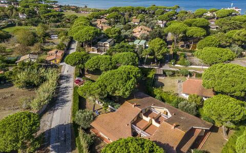 Argentario Giannella Apartment- Orbetello, Toscana: Plant, Water, Vegetation, Tree, Land Lot, Urban Design, Biome, Grass, Natural Landscape, Neighbourhood