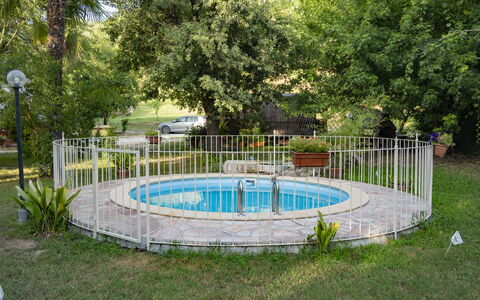 Podere Vallino: Plant, Tree, Water, Fence, Shade, Leisure, Home Fencing, Grass, Recreation, Swimming Pool