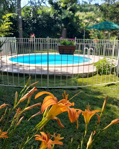 Podere Vallino: Plant, Flower, Water, Botany, Nature, Tree, Fence, Grass, Shade, Swimming Pool
