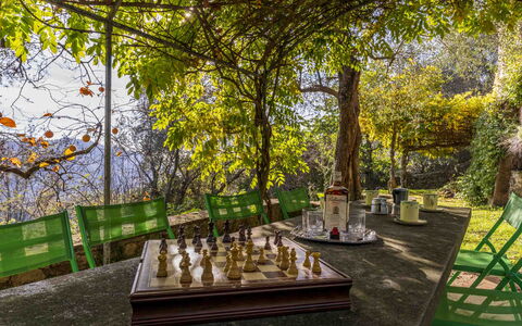 La Casa Dei Limoni, Camaiore, Pet Friendly, Wifi: Plant, Table, Shade, Tree, Sunlight, Natural Landscape, Chair, Landscape, Leisure, Outdoor Furniture