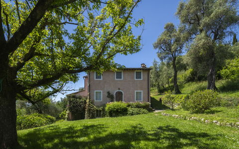 La Casa Dei Limoni, Camaiore, Pet Friendly, Wifi: Tree, Grass, Leaf, Nature, Vegetation, Shrub, House, Rural Area, Landscape