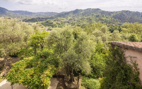La Casa Dei Limoni, Camaiore, Pet Friendly, Wifi: Tree, Nature, Leaf, Natural Environment, Vegetation, Hill, Rural Area, Plant Community, Spring, Hill Station