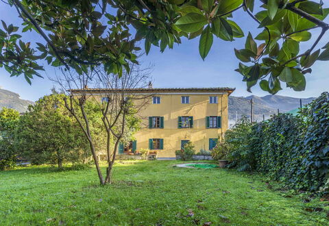 Casale Il Farro - Camaiore, Toscana: Plant, Sky, Property, Window, Leaf, Green, Nature, Botany, Land Lot, Vegetation