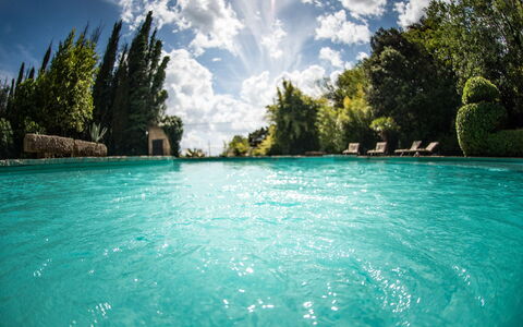 Palazzo Trasimeno: Cloud, Water, Sky, Plant, Natural Landscape, Tree, Swimming Pool, Coastal And Oceanic Landforms, Arecales, Lake