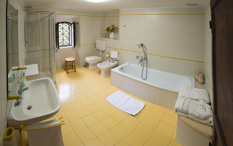 Palazzo Trasimeno: Bathtub, Plumbing Fixture, Tap, Sink, Property, Mirror, Building, Bathroom, Interior Design, Yellow