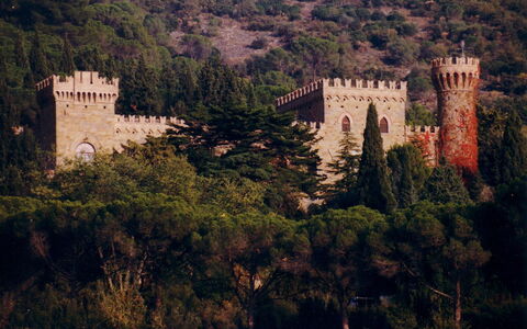 Palazzo Trasimeno: Plant, Natural Landscape, Building, Tree, Vegetation, Landscape, City, Castle, Hill, Medieval Architecture
