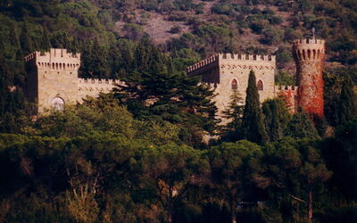Palazzo Trasimeno: Plant, Natural Landscape, Building, Tree, Vegetation, Landscape, City, Castle, Hill, Medieval Architecture
