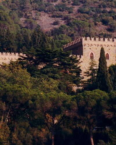 Palazzo Trasimeno: Plant, Natural Landscape, Building, Tree, Vegetation, Landscape, City, Castle, Hill, Medieval Architecture