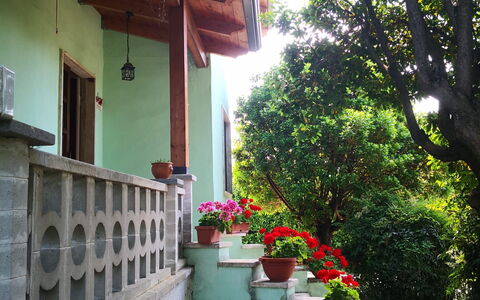 Franco House With Pool: Flower, Plant, Building, Flowerpot, House, Tree, Wood, Window, Road Surface, Shade