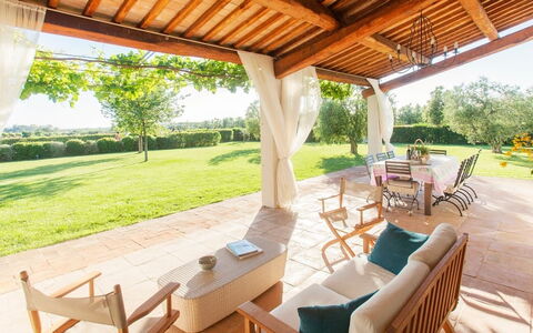 Villa Sant'andrea: Plant, Furniture, Table, Property, Chair, Wood, Tree, Shade, Outdoor Furniture, Porch