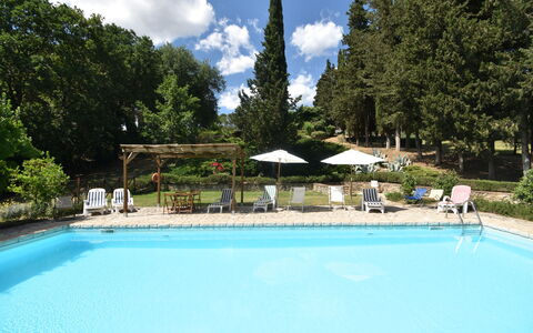 Podere Le Muricce: Water, Cloud, Plant, Sky, Swimming Pool, Azure, Shade, Tree, Chair, Umbrella