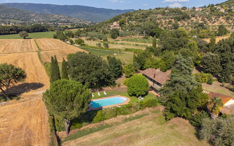 Villa Marconi: Plant, Cloud, Plant Community, Sky, Ecoregion, Natural Landscape, Natural Environment, Tree, Vegetation, Land Lot