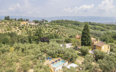 Country House Casalguidi 191 Private Pool: Tree, Rural Area, Estate, Farmhouse, Plantation, Villa, Hacienda