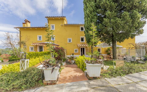 Country House Casalguidi 191 Private Pool: Plant, Sky, Cloud, Building, Window, Tree, House, Land Lot, Flowerpot, Road Surface
