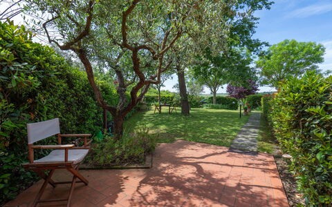 Casa Bellosguardo a Vinci: Plant, Plant Community, Sky, Shade, Natural Landscape, Land Lot, Tree, Woody Plant, Road Surface, Leisure