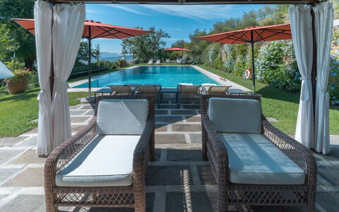 Villa Marlia: Plant, Property, Water, Shade, Sky, Outdoor Furniture, Interior Design, Leisure, Tree, Building