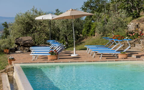 Casale Della Torre: Water, Plant, Property, Furniture, Sky, Swimming Pool, Umbrella, Building, Sunlounger, Azure