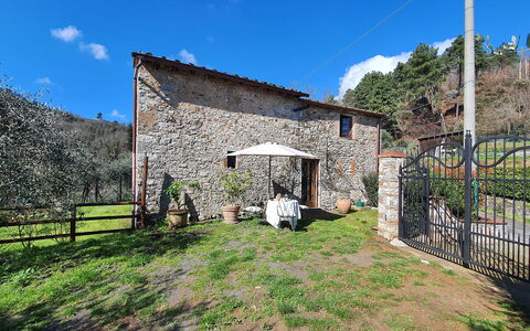 Il Cantuccio: Sky, Cloud, Plant, Property, Building, Tree, Land Lot, Rural Area, Cottage, Grass
