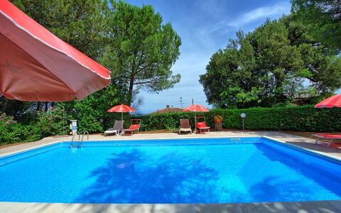 Leccino: Water, Plant, Property, Swimming Pool, Cloud, Nature, Azure, Sky, Tree, Shade