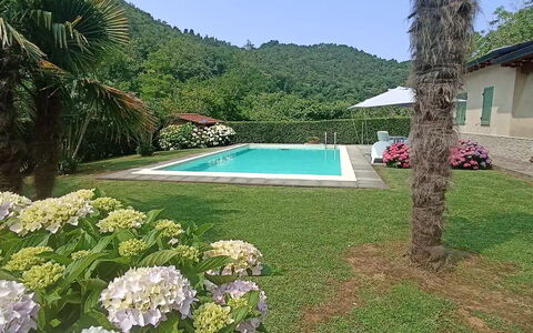 Villa Carducci: Plant, Water, Flower, Sky, Botany, Green, Azure, Tree, Natural Landscape, Swimming Pool