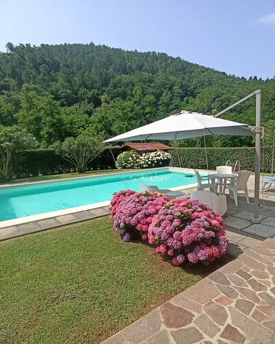 Villa Carducci: Sky, Plant, Water, Property, Swimming Pool, Umbrella, Flower, Outdoor Furniture, Shade, Tree