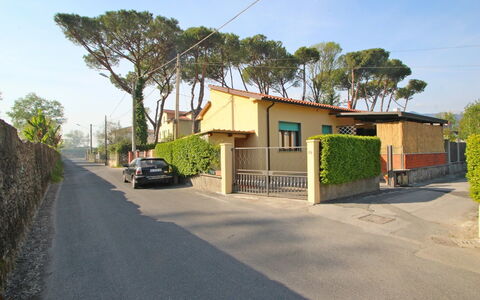 Casa Leonardo: Plant, Sky, Property, Building, Tree, House, Road Surface, Asphalt, Land Lot, Neighbourhood