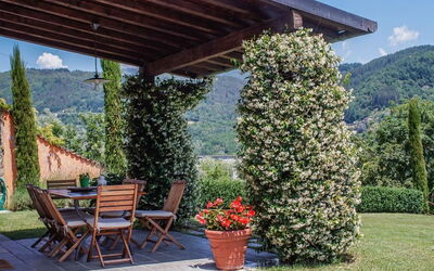 Villa Gelsomino: Plant, Sky, Property, Flowerpot, Leaf, Botany, Tree, Flower, Shade, Mountain