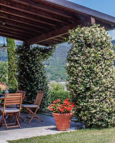 Villa Gelsomino: Plant, Sky, Property, Flowerpot, Leaf, Botany, Tree, Flower, Shade, Mountain