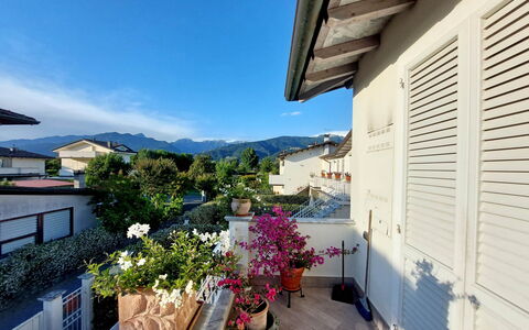 Appartamento Mare Azzurro: Plant, Sky, Building, Flower, Flowerpot, Window, Houseplant, House, Cloud, Shade
